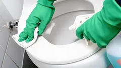 Die Toilette riecht frisch – ganz ohne Lufterfrischer: Schnelle Methode ohne Chemie